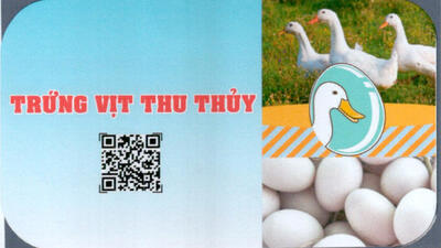 trung_vit_thu_thuy_d3ad2_1daa2